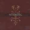 WAXWING – for madmen only (CD, LP Vinyl)