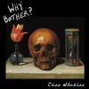 WHY BOTHER? – case studies (LP Vinyl)