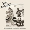 WHY BOTHER? – serenading unwanted ballads (LP Vinyl)