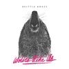 WOLVES LIKE US – brittle bones (CD, LP Vinyl)