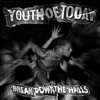 YOUTH OF TODAY – break down the walls (LP Vinyl)