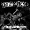 YOUTH OF TODAY – break down the walls (LP Vinyl)