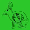 ZUM HEIMATHAFEN – inside the rabbit (boy), green (Textil)